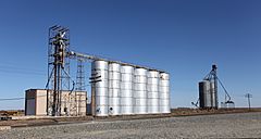 Amherst Texas Grain Elevators 2010.jpg