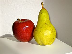 Archivo:Apple and pear