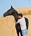 Artur Baboev and his horse Tokhtamysh
