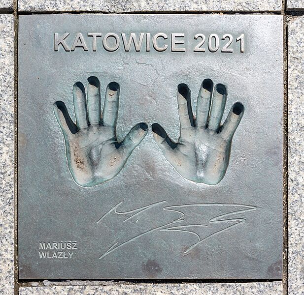 At Katowice 2024 288