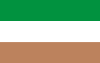 Bandera de Danlí.svg