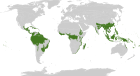 Distribución geográfica de los bosques lluviosos tropicales y subtropicales