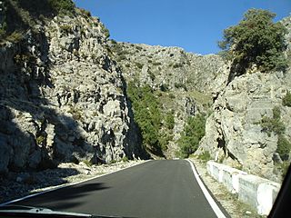 CarreteraLasPalomas.jpg