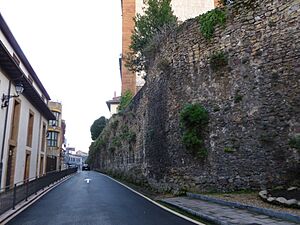 Archivo:City walls of Oviedo 06