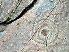 Marcas de cazoleta y anillos en el bosque Achnabreac en una piedra tumbada. Uno de los tres mayores conjuntos de Gran Bretaña.