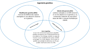 Archivo:Diagrama de Venn que muestra la relación entre diferentes tipos de ingeniería genética