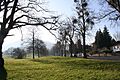 Double Row of Trees, Malvern Link Common - geograph.org.uk - 691059