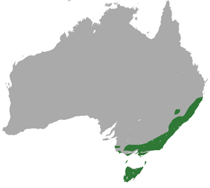 Archivo:Eastern Pygmy Possum area