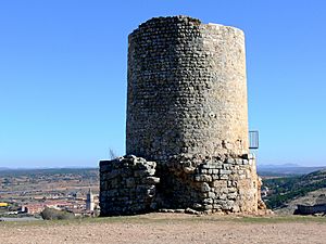 Archivo:El Burgo de Osma - Atalaya de Uxama - 8170408