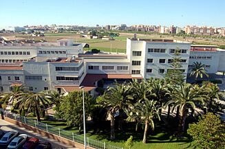 Escuela Alboraya - panoramio