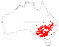 EucalyptuslargiflorensDistMap