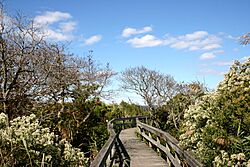 Fire Island Ocean Beach 08.jpg