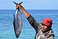 Fisherman holding skipjack tuna in Buru Maluku (36226139054)
