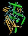 Hemocyanin2