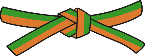 Judo orange-green belt