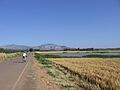 Laguna en Campillos (6004708284)