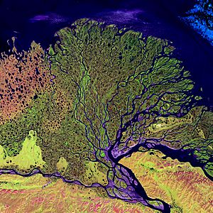 Archivo:Lena River Delta - Landsat 2000