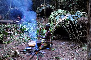 Archivo:Living on the rainforest