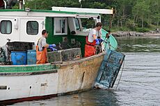 Archivo:Lobster Trap