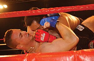 Archivo:Mma ground fighting