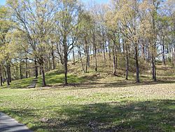 Mound A at Poverty Point.jpg