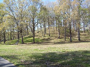 Archivo:Mound A at Poverty Point