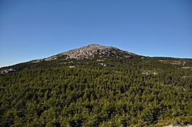 Mount Monadnock as seen from Bald Rock.jpg