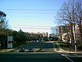 NVCC - Alexandria campus