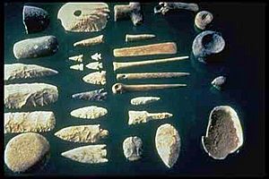Archivo:National park stone tools