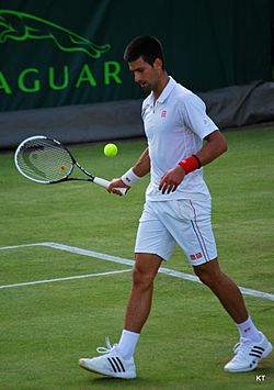 Archivo:Novak Djokovic (8585143053)