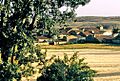 Olmedillas 1991 03