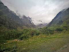 Archivo:Paisatge baixant als Yungas02