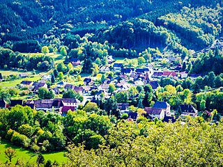 Panorama sur le village, depuis la Vierge d'Alsace.jpg