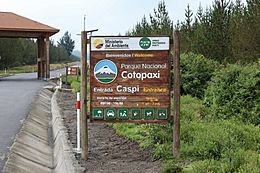 Archivo:Parque Nacional Cotopaxi