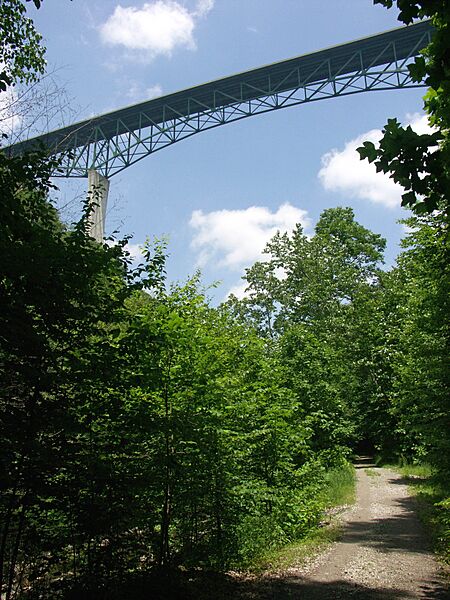 PhilGMcDonaldBridge