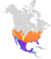 Polioptila caerulea map
