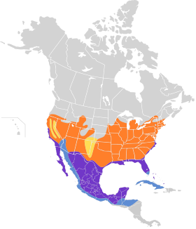 Distribución geográfica de la perlita grisilla.