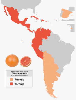 Archivo:Porpaís pomelo toronja