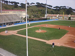 Archivo:Primo Nebiolo Stadium 3