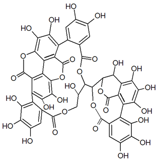 Punicacortein C.png