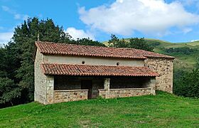 San fructu 1.jpg