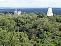 Tikal From Temple IV