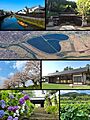 Tochigi City Montage