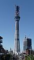 Tokyo Sky Tree under construction 20101103