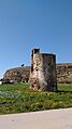 Torre manganeta (1)