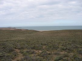 Vista de Bahia del Oso Marino.jpg