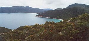 Archivo:Wilsons prom 1