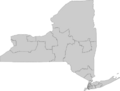 113th U.S. House districts in New York State