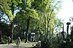 Archivo:Acceso al Jardín Botánico del Instituto de Biología (UNAM).