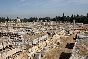 Archivo:Anjar vu du palais